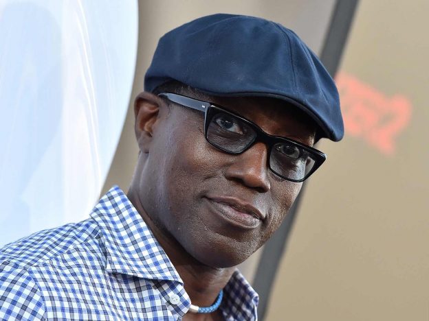 Wesley Snipes Net Worth and Biography